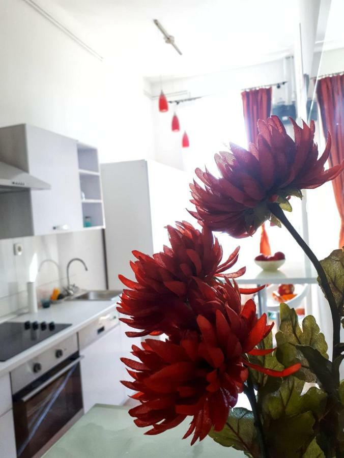 Apartment Zrinjevac 자그레브 외부 사진
